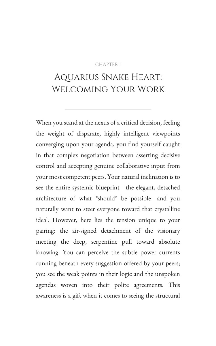 Aquarius Snake: Leadership Realization interior preview