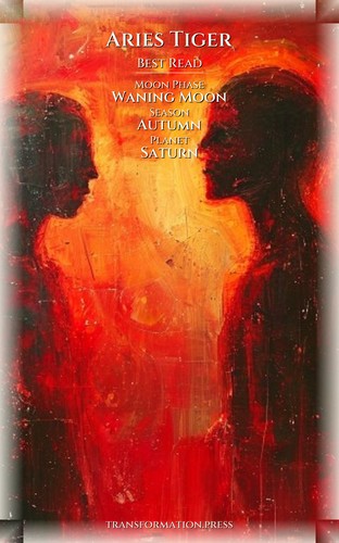 Aries Tiger Career Success Sourcebook: Structure Your Metamorphosis preview 5