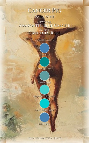 Cancer Pig Love Relationships Sourcebook: Your Hunt Perfected preview 3