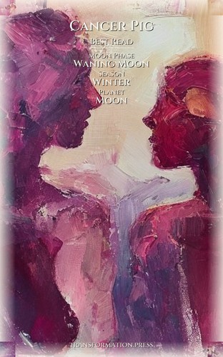 Cancer Pig Love Relationships Sourcebook: Your Hunt Perfected preview 5