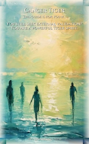 Cancer Tiger Love Relationships Workbook: Sharpen Your Course preview 4