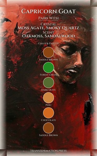 Capricorn Goat Love Relationships Handbook: Architect Your Potential preview 3