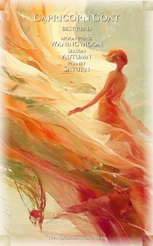 Capricorn Goat Love Relationships Handbook: Architect Your Potential preview 5