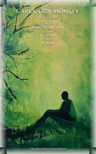 Capricorn Monkey: Personal Growth Command preview 5