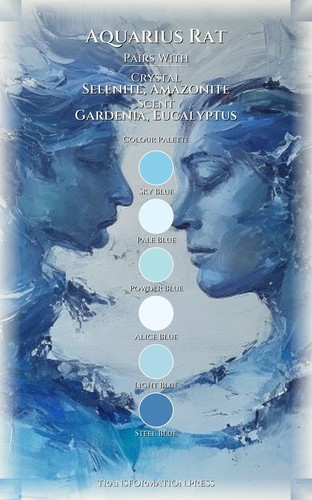 Career Success Framework: Aquarius Rat preview 3