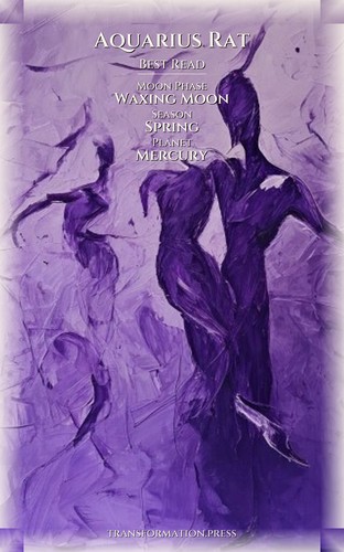 Career Success Framework: Aquarius Rat preview 5