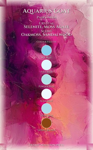 Career Success Handbook: Aquarius Goat preview 3