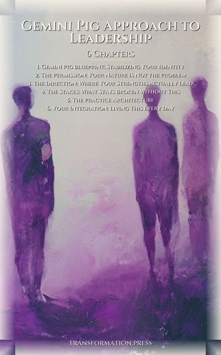 Gemini Pig Approach to Leadership: Your Quest Forged preview 2