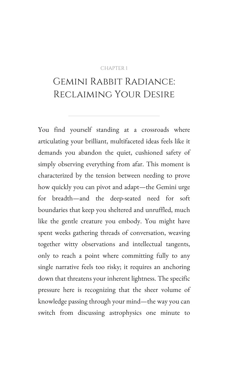 Gemini Rabbit Guide to Personal Growth: Claim Your Force interior preview