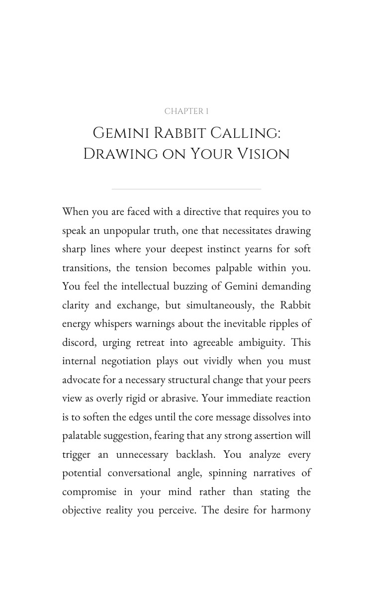 Gemini Rabbit Leadership Navigator: Expand Your Excellence interior preview