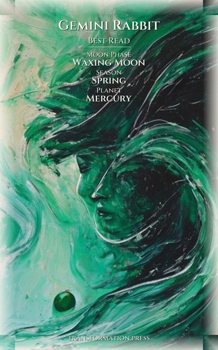 Gemini Rabbit Love Relationships Companion: Harness Your Self preview 5