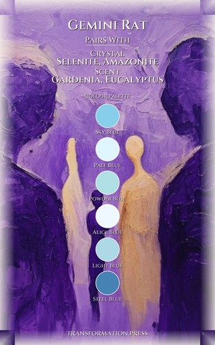 Gemini Rat Money Wealth Compendium: Your Rise Designed preview 3