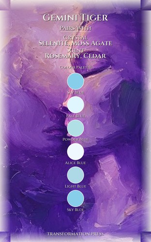 Gemini Tiger Money Wealth Compendium: Your Mission Strengthened preview 3