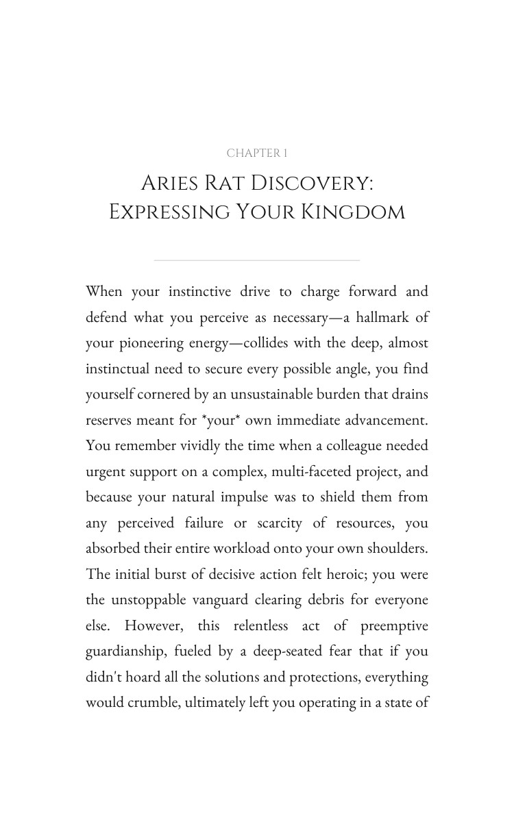 Leadership System: Aries Rat interior preview