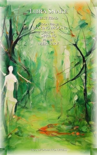 Libra Snake Career Success Manual: Your Hunt Focused preview 5