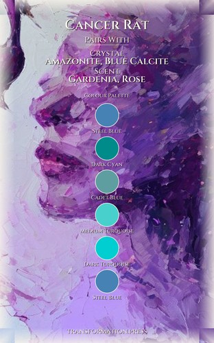Love Relationships Mastery: Cancer Rat preview 3