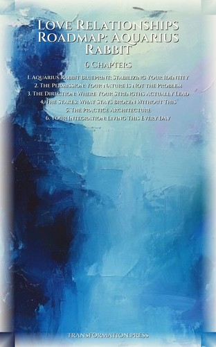 Love Relationships Roadmap: Aquarius Rabbit preview 2
