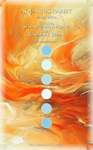 Love Relationships Roadmap: Aquarius Rabbit preview 3