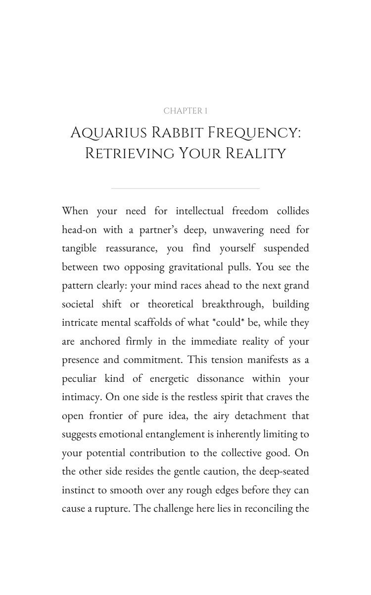 Love Relationships Roadmap: Aquarius Rabbit interior preview