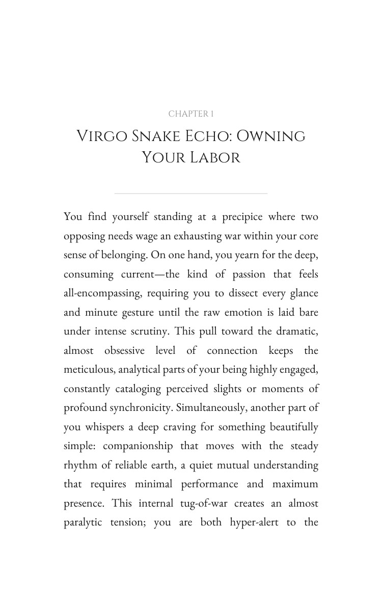 Love Relationships Way: Virgo Snake interior preview