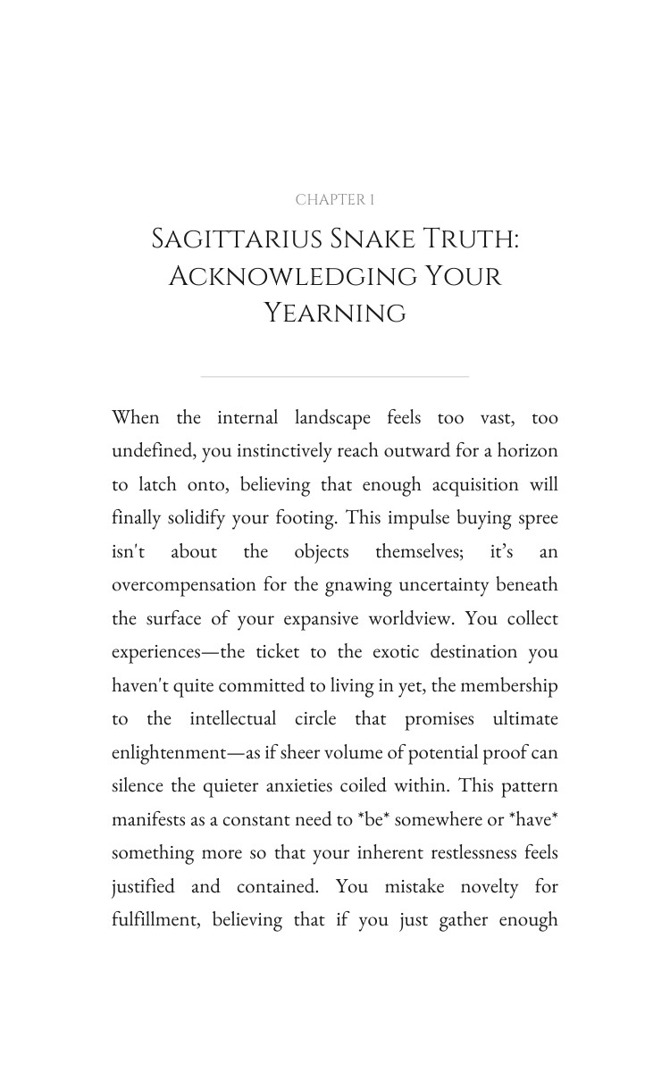 Money Wealth Experience: Sagittarius Snake interior preview