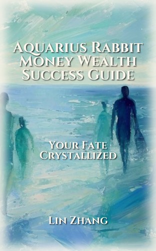 Money Wealth Playbook: Aquarius Rabbit