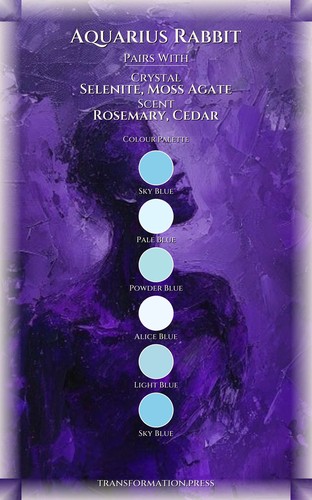 Money Wealth Playbook: Aquarius Rabbit preview 3