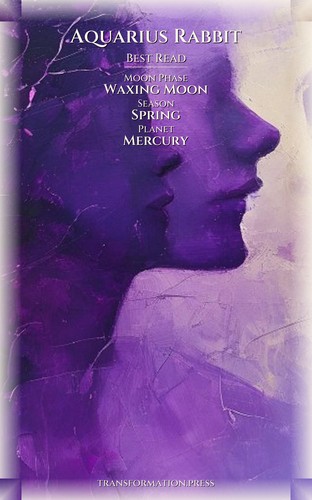Money Wealth Playbook: Aquarius Rabbit preview 5