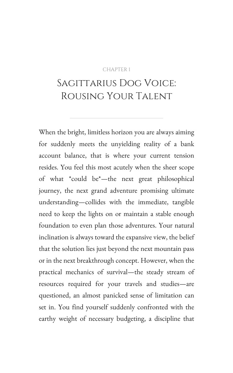 Money Wealth Strategy: Sagittarius Dog interior preview