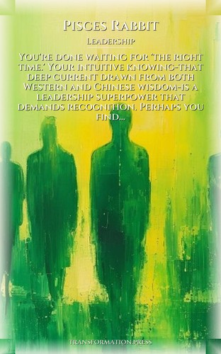 Pisces Rabbit Leadership Workbook: Your Route Consolidated preview 1