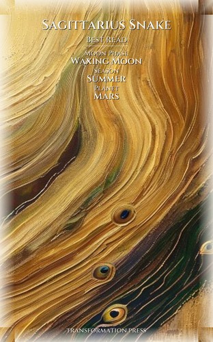 Sagittarius Snake Love Relationships Wisdom: Elevate Your Transition preview 5