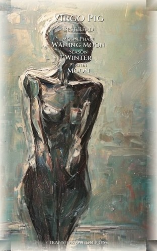 Virgo Pig Career Success Keystone: Your Self Manifested preview 5