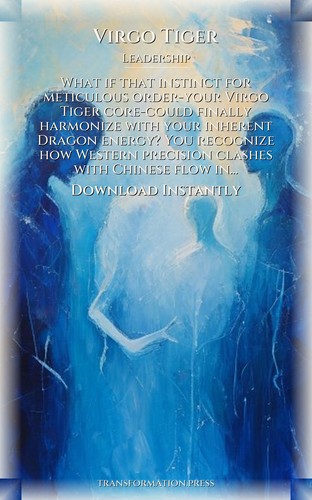 Virgo Tiger Leadership Compendium: Your Journey Conducted preview 7