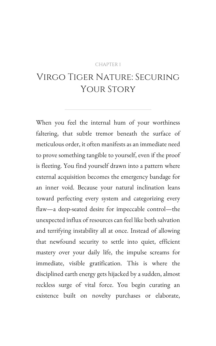 Virgo Tiger Money Wealth Guide: Your Presence Emerged interior preview