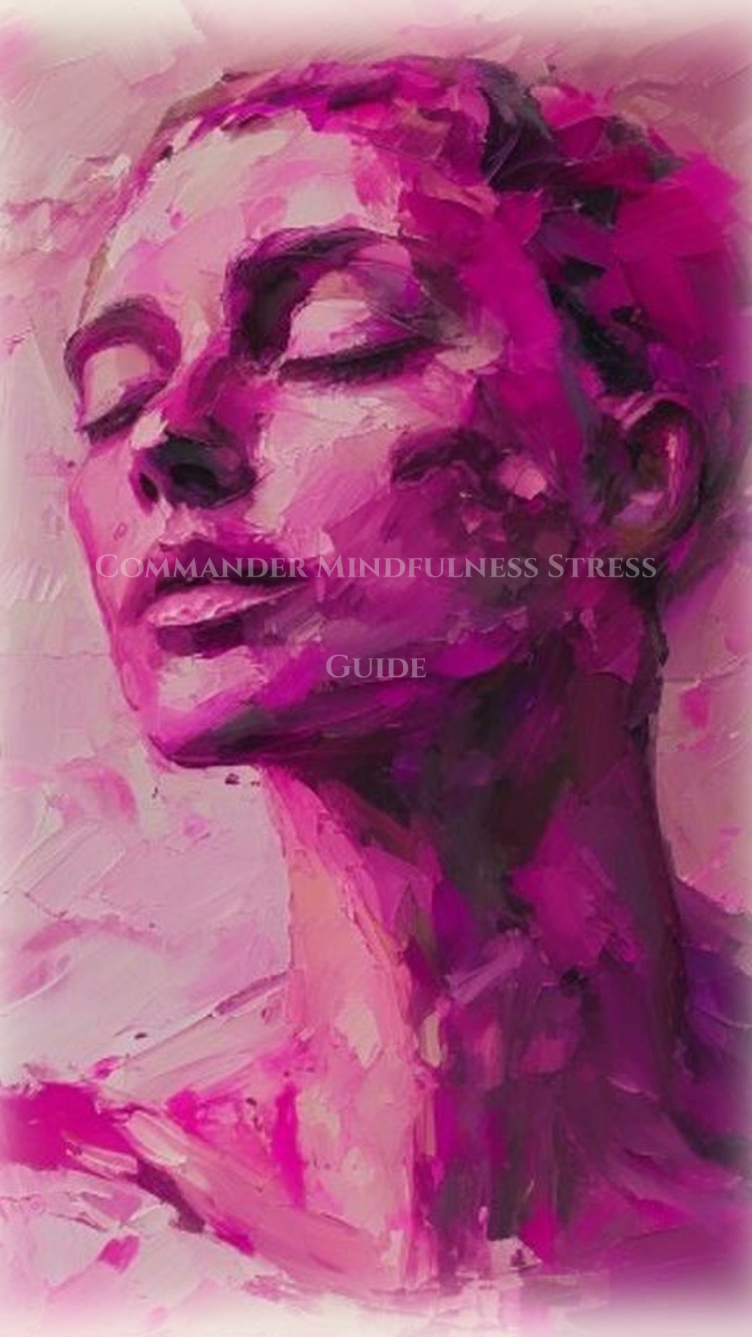 Commander: Mindfulness Stress Fulfillment